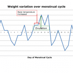 weight variation over menstrual cycle